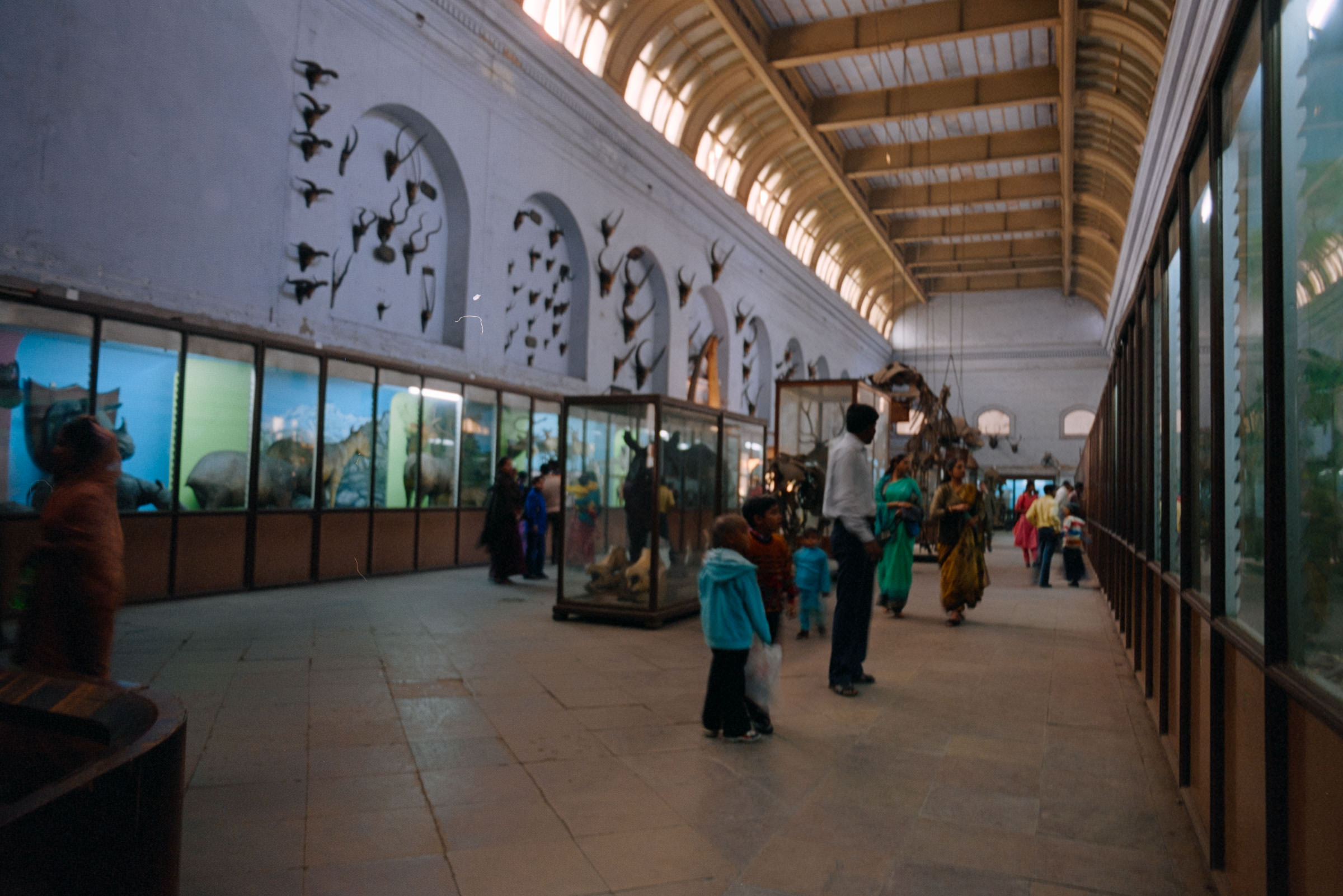 AHP film 2005 01 001 sc240825 img15 NLP